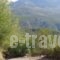 Menina Farm_best deals_Hotel_Thessaly_Magnesia_Pilio Area