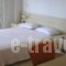 Kleanthi Studios_best prices_in_Hotel_Crete_Chania_Chania City