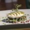 Kaliviani_best prices_in_Hotel_Crete_Chania_Kissamos