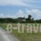 Elia Apartments_travel_packages_in_Central Greece_Evia_Edipsos