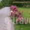 Elia Apartments_holidays_in_Apartment_Central Greece_Evia_Edipsos