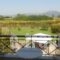 Elia Apartments_best deals_Apartment_Central Greece_Evia_Edipsos