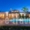 Palm Luxury Villa_accommodation_in_Villa_Ionian Islands_Zakinthos_Laganas