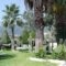 Villa Angela_holidays_in_Villa_Ionian Islands_Lefkada_Vasiliki