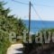 Mediterraneo Apartments_best deals_Apartment_Dodekanessos Islands_Rhodes_Archagelos