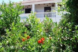 Studio Stars_accommodation_in_Hotel_Ionian Islands_Zakinthos_Laganas