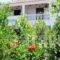 Studio Stars_accommodation_in_Hotel_Ionian Islands_Zakinthos_Laganas