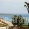 Villa Xenia_accommodation_in_Villa_Crete_Lasithi_Ierapetra