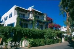 Afendakis Hotel_s __1
