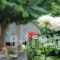 Yiorgos Hotel_holidays_in_Hotel_Dodekanessos Islands_Kos_Kos Chora