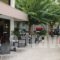 Yiorgos Hotel_lowest prices_in_Hotel_Dodekanessos Islands_Kos_Kos Chora