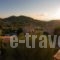 Apartments & Studios_holidays_in_Villa_Ionian Islands_Zakinthos_Laganas