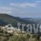 Atrium Villas_best deals_Villa_Sporades Islands_Skiathos_Skiathoshora