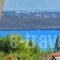 Villa Plumeria Flower_travel_packages_in_Crete_Chania_Akrotiri