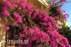 Eriketi Studios_s __1