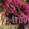 Eriketi Studios_travel_packages_in_Piraeus Islands - Trizonia_Aigina_Agia Marina