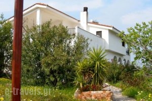 Villa Bellevue_holidays_in_Villa_Central Greece_Evia_Limni