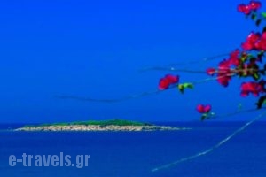 Hotel Vriniotis_travel_packages_in_Peloponesse_Ilia_Pyrgos