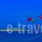 Hotel Vriniotis_travel_packages_in_Peloponesse_Ilia_Pyrgos