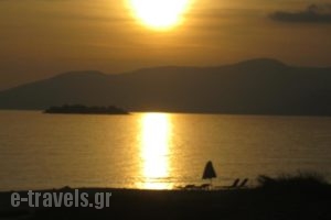 Aronis_best prices_in_Hotel_Cyclades Islands_Naxos_Naxos chora