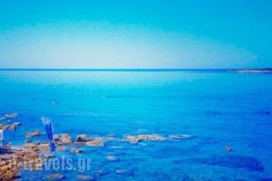 Hotel Vriniotis_best deals_Hotel_Peloponesse_Ilia_Pyrgos
