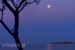 Hotel Vriniotis_best prices_in_Hotel_Peloponesse_Ilia_Pyrgos
