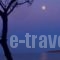 Hotel Vriniotis_best prices_in_Hotel_Peloponesse_Ilia_Pyrgos