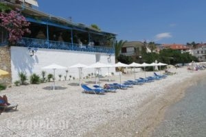 Blue Sky Studios_lowest prices_in_Hotel_Peloponesse_Arcadia_Astros