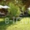 Zorbas Apartments_holidays_in_Apartment_Aegean Islands_Chios_Chios Rest Areas