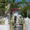 Leonardos Apartments_accommodation_in_Apartment_Cyclades Islands_Paros_Naousa