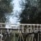 Elaia Resorts_best prices_in_Hotel_Ionian Islands_Corfu_Corfu Rest Areas