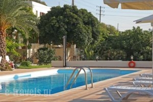 Elaia Villas_holidays_in_Villa_Crete_Lasithi_Sitia