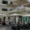 Hotel Kontes_holidays_in_Hotel_Cyclades Islands_Paros_Paros Chora