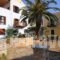 Alexandra Pension'Stelorizo_accommodation_in_Hotel_Dodekanessos Islands_Halki_Halki Rest Areas