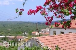 Fenareti'S House_s __1