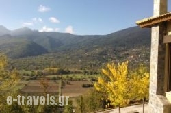 Olvios Hotel_s __1