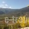 Olvios Hotel_accommodation_in_Hotel_Peloponesse_Achaia_Kalavryta