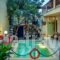 Erifili_holidays_in_Hotel_Macedonia_Halkidiki_Kassandreia