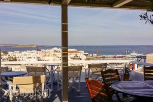 Lefteris Hotel_accommodation_in_Hotel_Cyclades Islands_Mykonos_Mykonos Chora