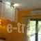 Hani Zemenou_holidays_in_Hotel_Central Greece_Viotia_Arachova
