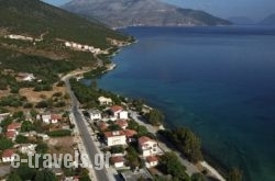 Dimitris Studios in Kefalonia Rest Areas, Kefalonia, Ionian Islands