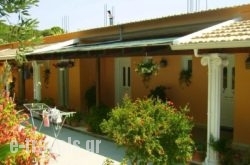 Olive Grove Studios_s __1