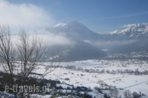 Olvios Hotel_best prices_in_Hotel_Peloponesse_Achaia_Kalavryta