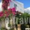 Zefi Hotel_travel_packages_in_Cyclades Islands_Paros_Naousa