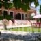 Olga's Garden Apartments_travel_packages_in_Ionian Islands_Corfu_Corfu Rest Areas