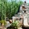 Studios Margarita_best prices_in_Hotel_Thessaly_Magnesia_Pilio Area