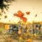 Tota Studios_holidays_in_Hotel_Ionian Islands_Zakinthos_Zakinthos Rest Areas