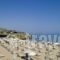 Arkadi Apartments_holidays_in_Apartment_Crete_Heraklion_Malia