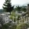 Olokalon Suites_best deals_Hotel_Crete_Lasithi_Anatoli