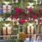 Lia Apartments_accommodation_in_Apartment_Crete_Chania_Nopigia